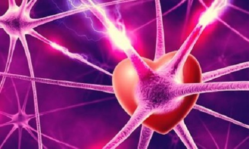 Voor de liefde bestaat een biologische verklaring