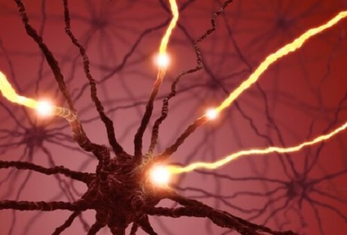 Waar gebeurt neurogenese