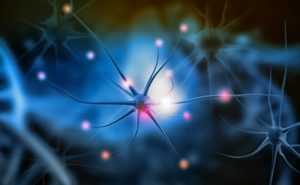 Wat is neurogenese precies en waarom is het belangrijk?
