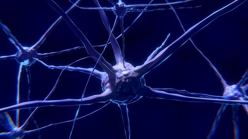 Wat zijn neuronen en hoe werken ze precies?