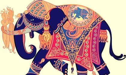 De olifant die zijn trouwring verloor: een prachtig verhaal