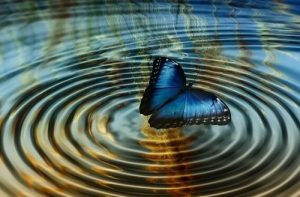 Chaostheorie of "het vlindereffect"