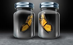 Asymmetrische wederkerigheid: een obstakel in menselijke relaties