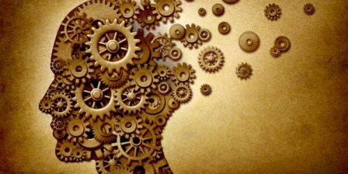 De differentiële aanpassing van een soort