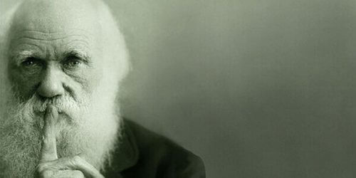 De evolutietheorie van Charles Darwin