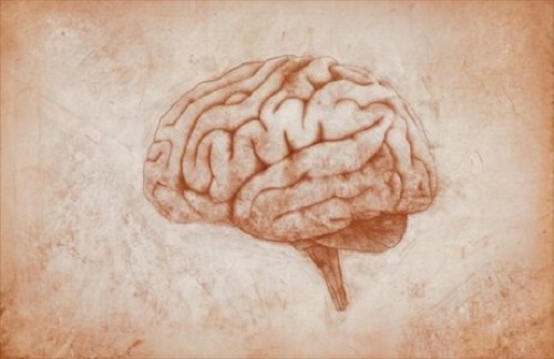 Het verband tussen lijden en de hersenen