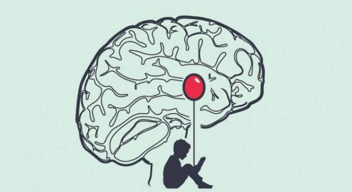 de amygdala en angst