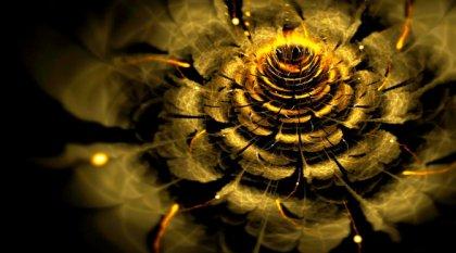 Het geheim van de gouden bloem: boek over meditatie