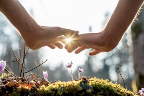 Twee handen die elkaar aanraken boven mos en wilde bloemen