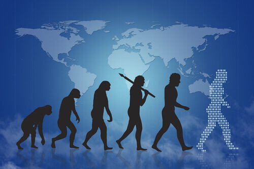 De evolutie van de menselijke hersenen