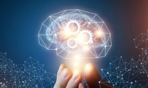 De theorie van de machiavellistische intelligentie