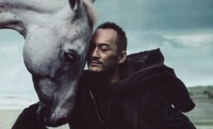 De rationele ruiter en het emotionele paard: balans vinden