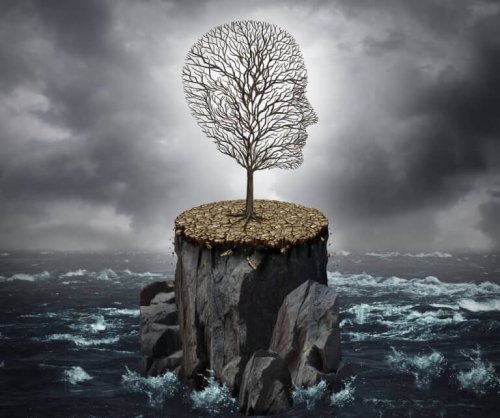 Verstandig is niet hetzelfde als intelligent