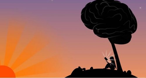 Intelligentie en wijsheid