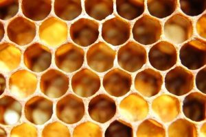 Trypofobie: symptomen, oorzaken en behandelingen