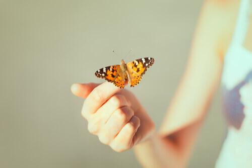 Hand met vlinder