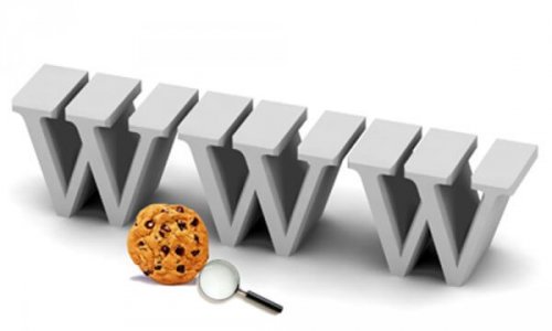 Het world wide web
