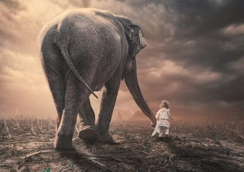 Klein meisje met olifant