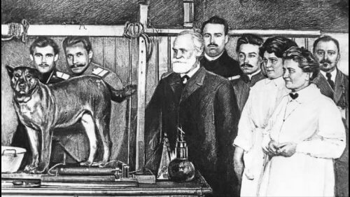 Experiment van Ivan Pavlov