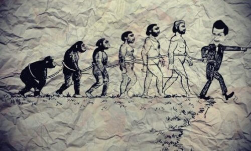 Slavernij evolutie