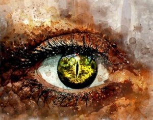 Zijn alle onbewuste beslissingen producten van ons reptielenbrein?