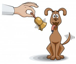 Tekening van een hond met een bel