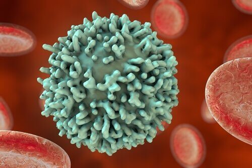 menselijk immuunsysteem antigenen