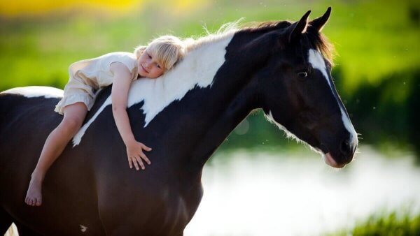 Paardentherapie kind op een paard