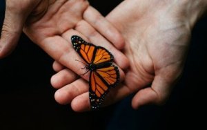 Therapeutische begeleiding: een onmisbaar hulpmiddel