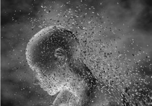 Wat is panofobie: oorzaken, symptomen en behandeling