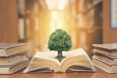 Vijf boeken over onderwijspsychologie die je moet lezen