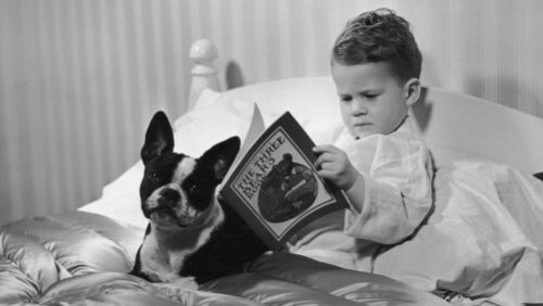 Jongetje leest boek in bed met hond