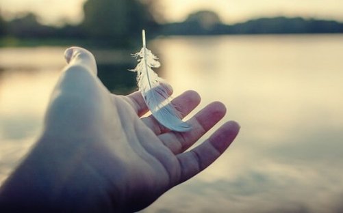 Een veertje op een hand