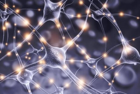 Connectionisme