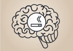 Wat is het effect van nicotine op de hersenen?