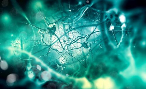 UItvergroting van neurotransmitters