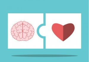 De theorie van Salovey en Mayer over emotionele intelligentie