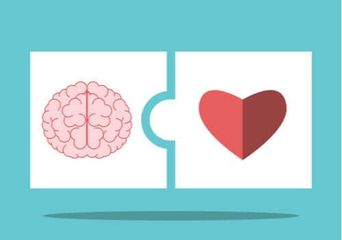 De theorie van Salovey en Mayer over emotionele intelligentie