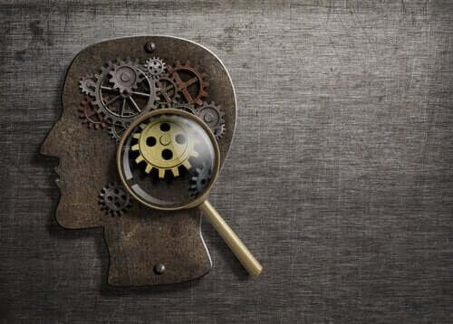 De hersenen als mechanisme