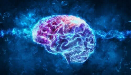 Een afbeelding van de hersenen en hersenstof