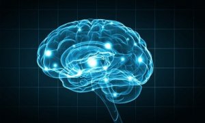 Biopsychologische onderzoeksmethoden