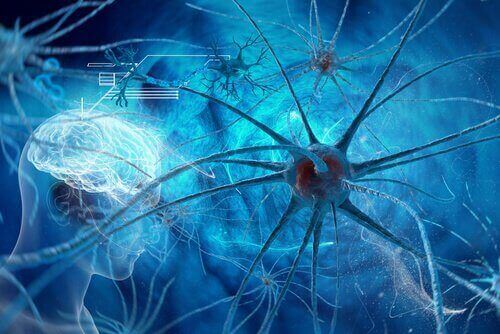 Neuronen in de hersenen