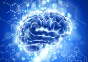 De kenmerken en ontwikkeling van de neuro-ethiek