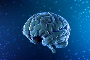 Een korte geschiedenis van de neurowetenschappen