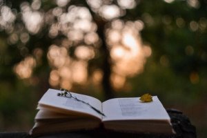 Open boek buiten in de natuur