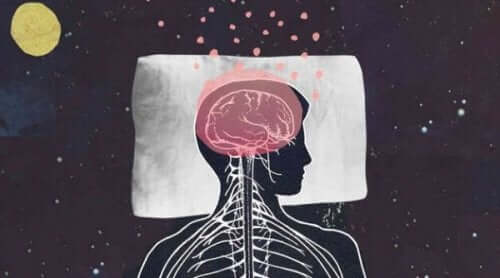 Afbeelding van hersenen die slapen op een kussen