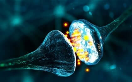 Uitvergroot beeld van een synaps