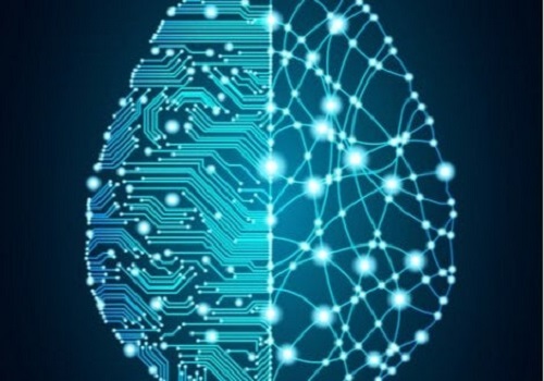 De geschiedenis van het project Blauwe Hersenen