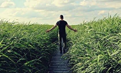 Een man loopt door een pad in het gras
