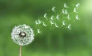 De wet van de minste inspanning: met stress omgaan